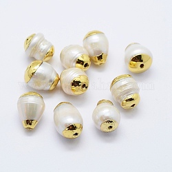 Perle coltivate d'acqua dolce perla naturale, bordo dorato placcato, ovale, bianco, 14~17x11~12mm, Foro: 1.5 mm
