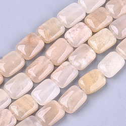 Chapelets de perles en aventurine rose naturel, rectangle, 17.5~18.5x13~13.5x6~7mm, Trou: 1mm, Environ 22 pcs/chapelet, 15.5 pouce