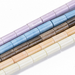 Chapelets de perles d'agate naturelle, teinte, colonne, couleur mixte, 8.5x4mm, Trou: 1mm, Environ 47 pcs/chapelet, 15.7 pouce
