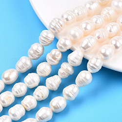 Fili di perle di perle d'acqua dolce coltivate naturali, riso, colore conchiglia, 10.5~18.5x9~11mm, Foro: 0.6 mm, circa 22~31 pcs/filo, 13.70~14.13 pollice (34.8~35.9 cm)