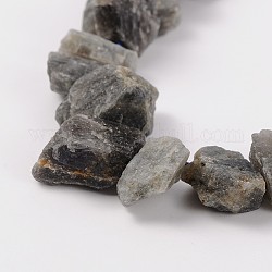 Natural Labradorite Beads Strands, Nuggets, 11~26x8~20x4~13mm, Hole: 1~2mm, about 16inch