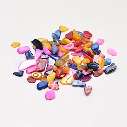 Shell Nuggets Cabochons, Colorful, 5~15x4~10mm, about 3050pcs/500g