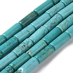 Fili di perline howlite naturale, colonna, tinti e riscaldato, 15x6~6.5mm, Foro: 1 mm, circa 26pcs/filo, 15.35'' (39 cm)