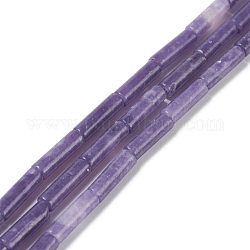 Натуральный лепидолит / пурпурный слюдяный камень бисер пряди, окрашенные, колонка, 14x4 мм, отверстие : 1 мм, около 27 шт / нитка, 14.76 дюйм (37.5 см)