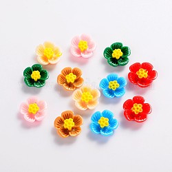 Flatback Resin Flower Cabochons, Plum Blossom, Mixed Color, 16x7mm