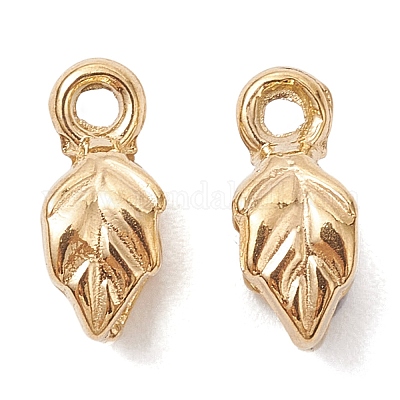 Ионное покрытие (ip) 304 нержавеющая сталь ледоруб зажимные скобы STAS-K277-05A-G-1