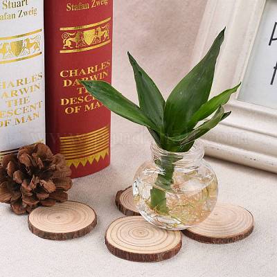 Незаконченные натуральные тополя дерево кабошоны WOOD-E018-12-1