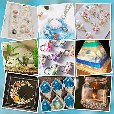 450 шт. 3 вида натуральных спиральных бусин-ракушек BSHE-GA0001-03-1