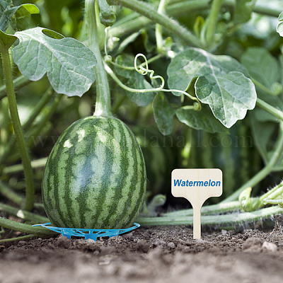 8шт. 2-х цветный круглый пластиковый кронштейн DIY-GA0002-24-1