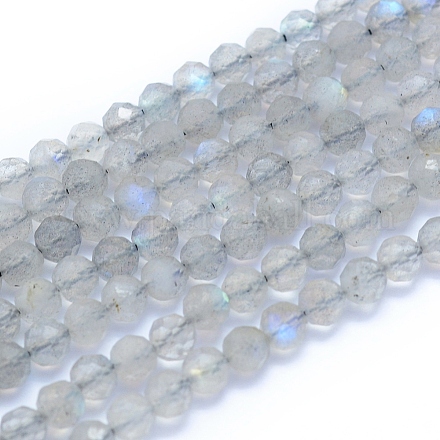 Chapelets de perles en labradorite naturelle  G-I279-E19-1