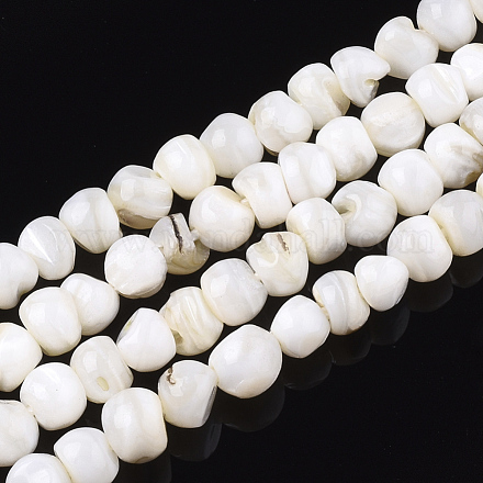 Chapelets de perles en coquille d'eau douce  SHEL-T011-02B-1