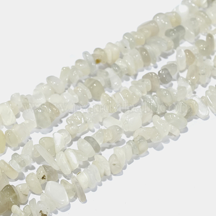 Natürliche weiße Mondstein Chip Perlen Stränge X-G-E271-112-1