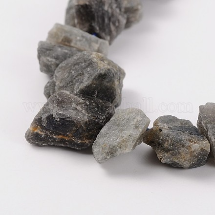Natural Labradorite Beads Strands G-J236-01-1