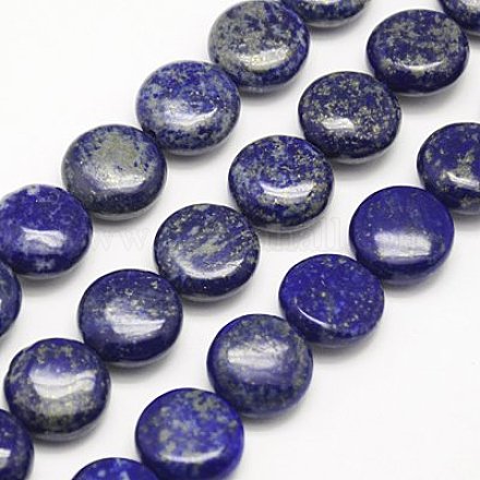 Natural Lapis Lazuli Bead Strands G-G431-07A-14x6mm-1