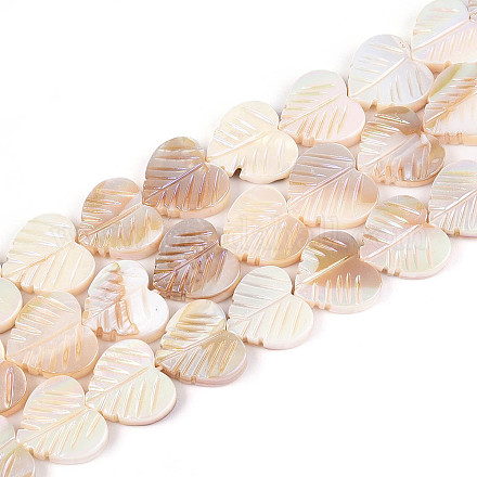 Гальванизированные нити резных бусин из натуральных пресноводных ракушек SHEL-T020-14-1