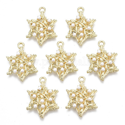 Aluminium Anhänger & Charms&nbsp;LS-PALLOY-R116-06-1