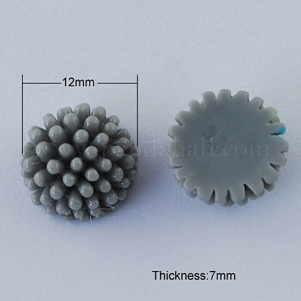 Resin Cabochons CRES-B2085-A89-1