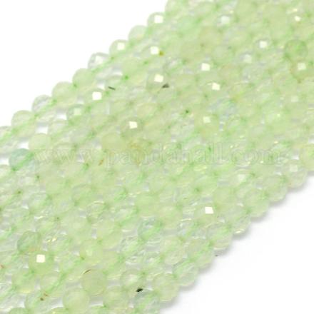 Chapelets de perles en préhnite naturelle G-E411-25-4mm-1