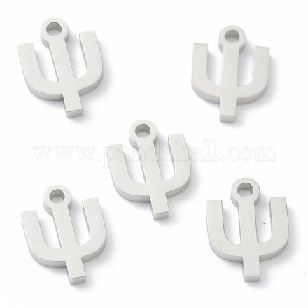 304 Stainless Steel Charms STAS-G244-01Y-1