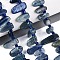 Natural Kyanite/Cyanite/Disthene Beads Strands, Nuggets, Top Drilled, Tumbled Stone, with Seed Beads, 9.5~25x4~11.5x3.5~8mm, Hole: 0.8~1mm, about 42~61pcs/strand, 14.96~16.14''(38~41cm)