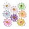 Transparent Resin Cabochons, Flower, with Glitter Powder & Paillette, Mixed Color, 22x7mm