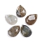 Natural Labradorite Cabochons, Teardrop, Faceted, 14x10x4.5mm