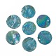 Ciondoli di conchiglie di conchiglia placcati in colore ab SSHEL-T008-01A-1