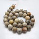 Brins de perles rondes de corail fossile naturel G-N0166-05-10mm-3