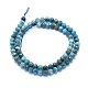 Natural Apatite Beads Strands G-I279-E22-01-2