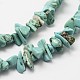 Synthetic Turquoise Bead Strands G-F328-04-3