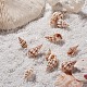 Perles de coquillages en spirale BSHE-YW0001-02-3