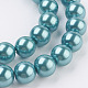 Eco-Friendly Dyed Glass Pearl Round Beads Strands HY-A002-10mm-RB073N-3