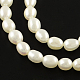 Rice Natural Cultured Freshwater Pearl Beads Strands PEAR-R012-28-1