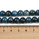 Круглые бусины пряди природного апатита G-K068-02-8mm-3
