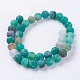 Natural Weathered Agate Beads Strands G-G589-10mm-08-2