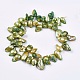 Perle baroque naturelle perles de perles de keshi BSHE-P026-32-12