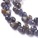 Natural Iolite  Beads Strands G-H243-06-3