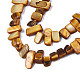 Chapelets de perles de coquille de trochid / trochus coquille SHEL-S258-082-B09-3