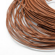 Cuerdas de cuero pintadas en aerosol WL-R001-2.0mm-11-2