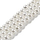 Brins de perles de coquillages naturels galvanisés SHEL-F008-03A-01-1