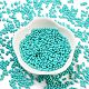 Выпечка краска стеклянные бусины X1-SEED-A033-05O-2