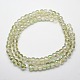 Electroplate Glass Rondelle Beads Strands EGLA-F024-A04-2