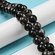Natural Black Fossil Coral Beads Strands G-R494-A04-04-4