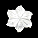 天然石シェルカボション  花  ホワイト  40.8x3mm SHEL-K008-02-2