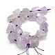 Raw Rough Natural Amethyst Nuggets Bead Strands G-L176-01A-2