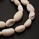 Bohnen natürliche Spiralschale rote Lippenschale Perlen Stränge SHEL-E355-20-2