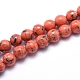 Chapelets de perles de coquillage de mer et turquoise synthétique G-G758-12-10mm-1