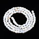 Eau douce naturelle de coquillage perles brins SHEL-N034-29B-01-2