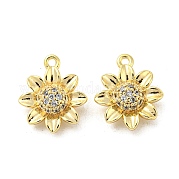 Brass Micro Pave Clear Cubic Zirconia Charms KK-H460-24G