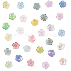 480шт 12 цвета акриловые колпачки для бусин&nbsp;OACR-FS0002-24